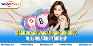 bao lô là gì