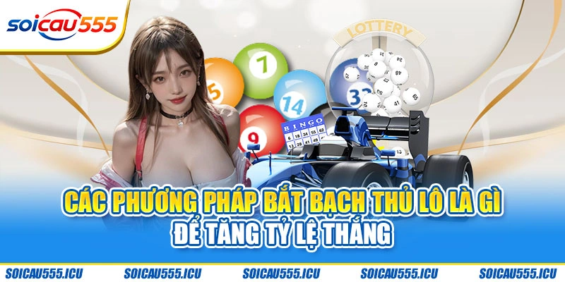 Bắt bạch thủ lô bằng phương pháp hình quả trám